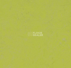 Линолеум Forbo Marmoleum Decibel on Order 374235 green glow фото 1 | FLOORDEALER